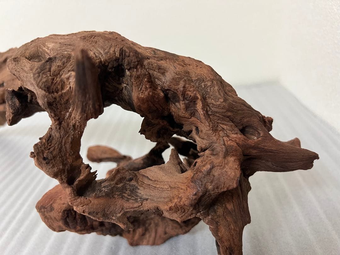 HX-097 流木　マシンガンウッド　ホーンウッド アクアリウム　ブランチウッド