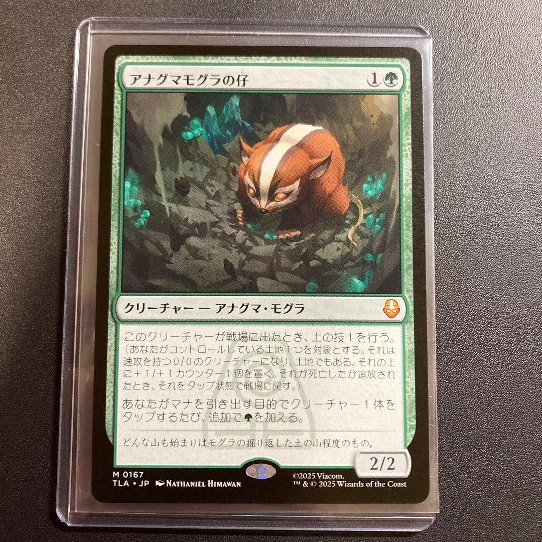 MTG アナグマモグラの仔 神話レア M 167 アバター 伝説の少年アン