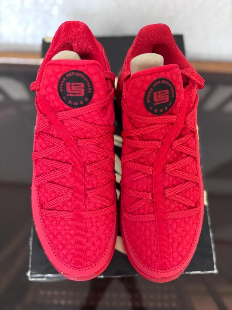 ナイキ レブロン 17 ロー タイタン 新品 CD5009-600 26.5cm