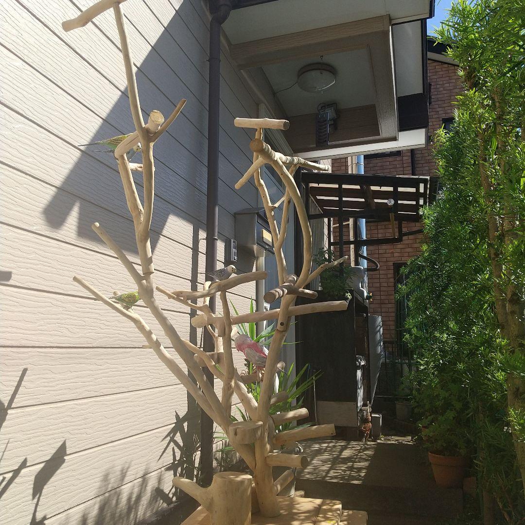 インコバードアスレチック楽園シリーズ③キャスター付きその❷完成品