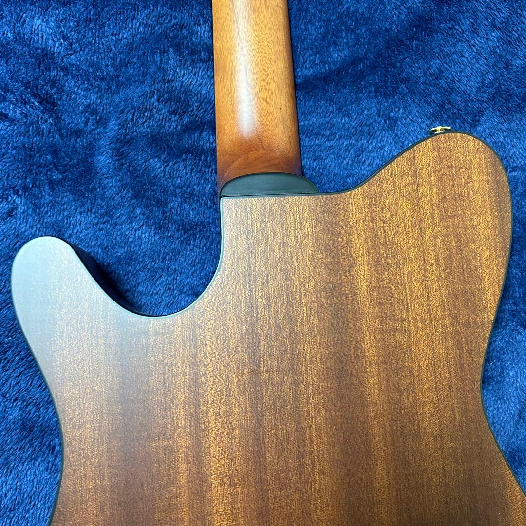 Ibanez アコースティック　エレキギター　楽器 ソフトケース付き