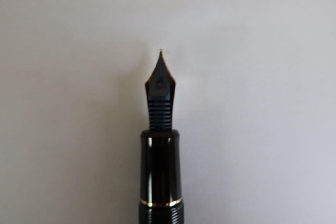 PILOT パイロット万年筆 カスタム845 専用ケース ペントレー ペントレイ