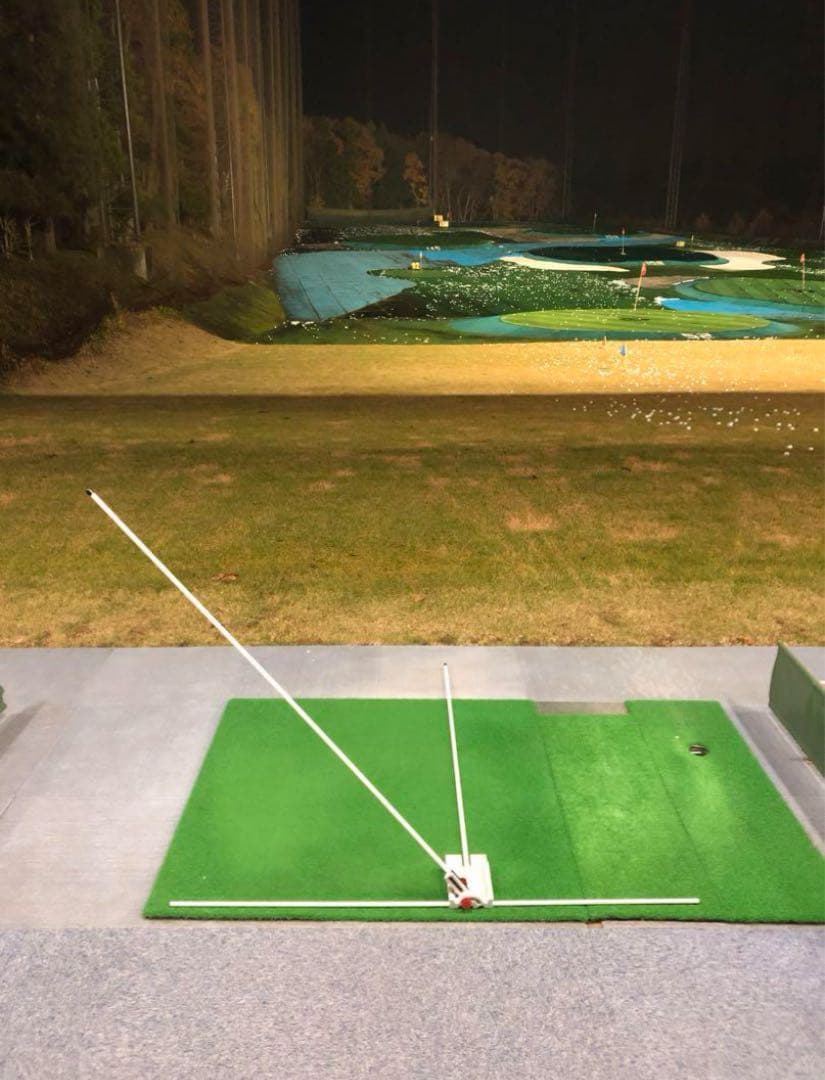 年間チャンピオン トミーフリートウッド使用　スイング・プレーン・パーフェクター