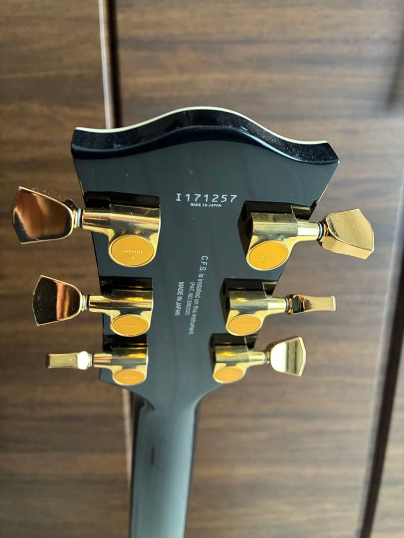 ギター FGN /Neo Classic NLC200 BK