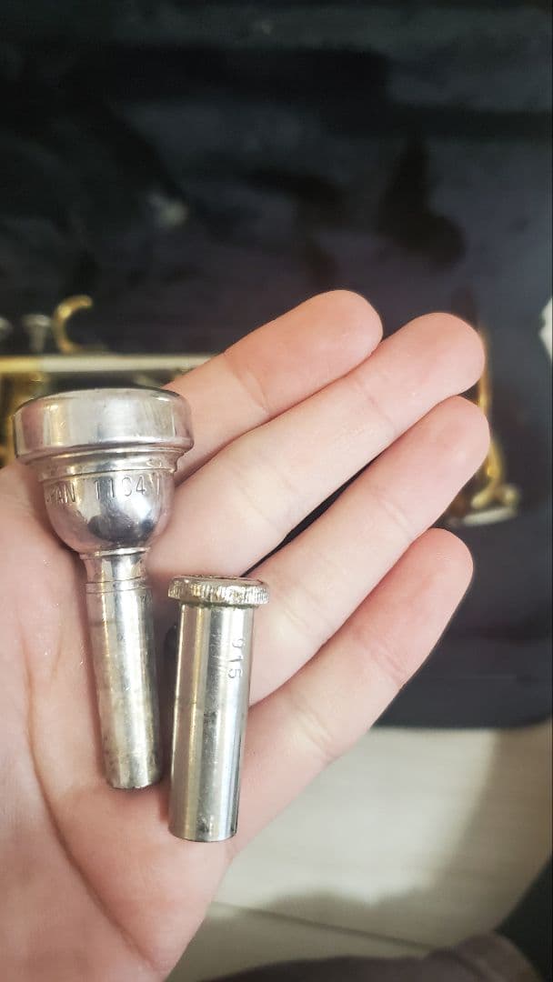 【最終価格】Berkeley Wind Es/D管トランペット