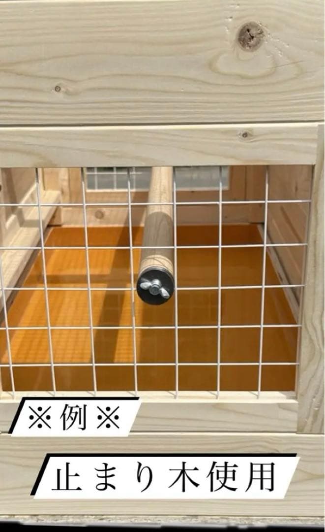 ⭐︎飼育ゲージ⭐︎