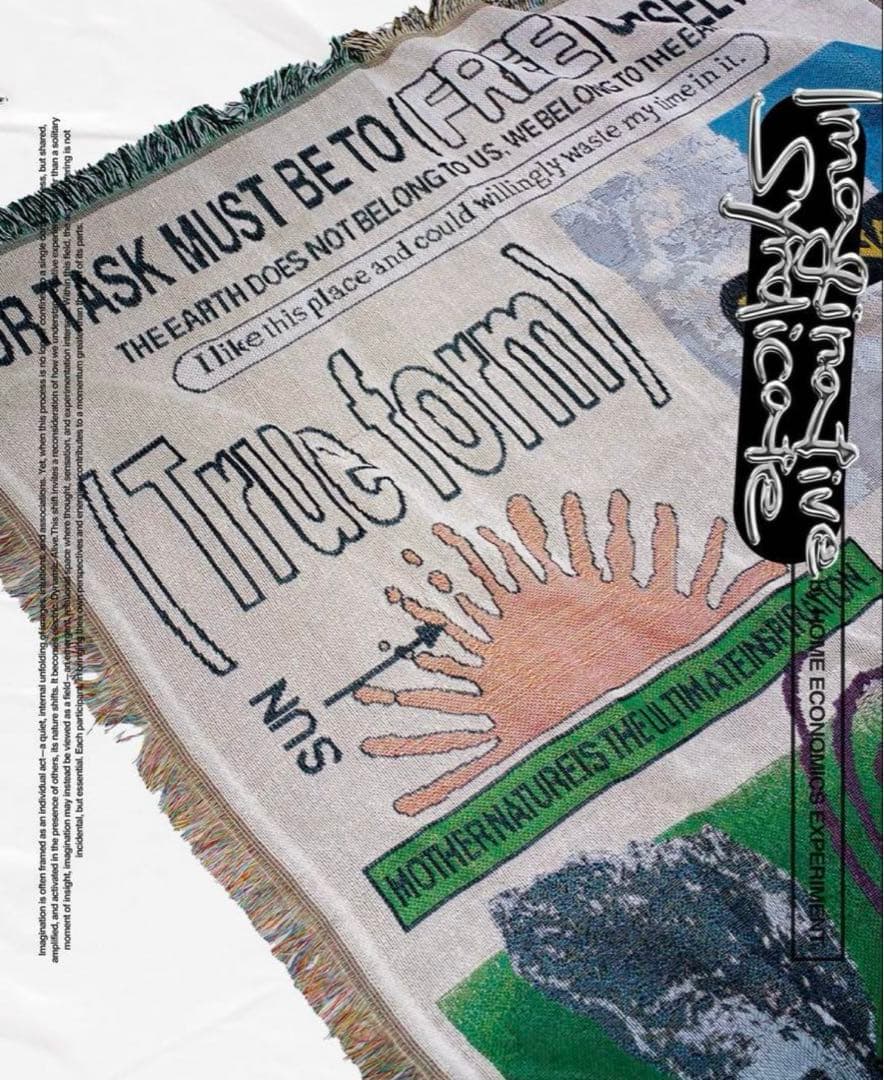  ECONOMICS EXPERIMENT ラグ　マット