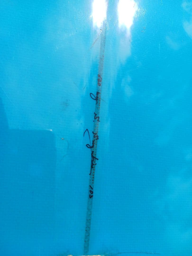 値下げしました。 ヴィンテージ　シングルフィン　６'6\"