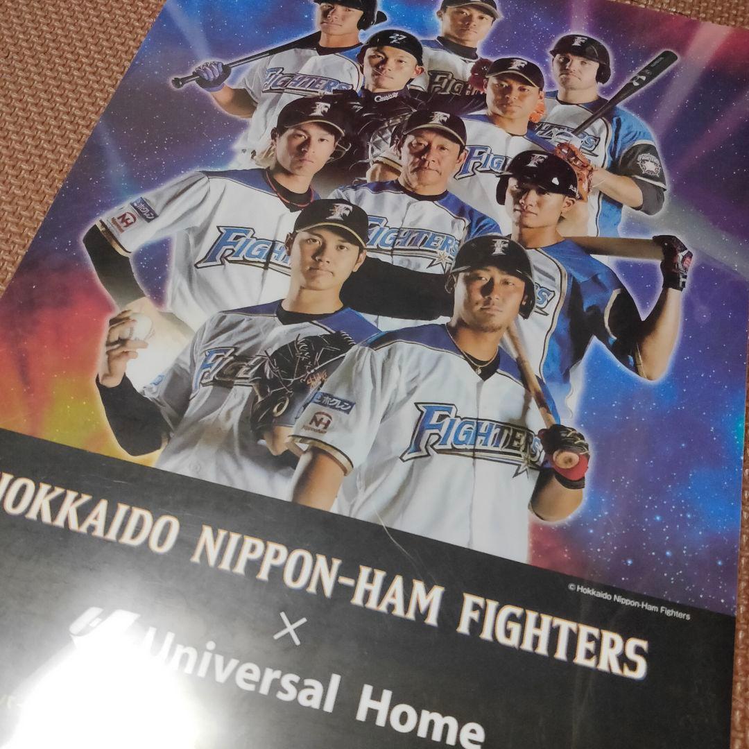 レア【大谷翔平】日本ハムファイターズクリアファイル