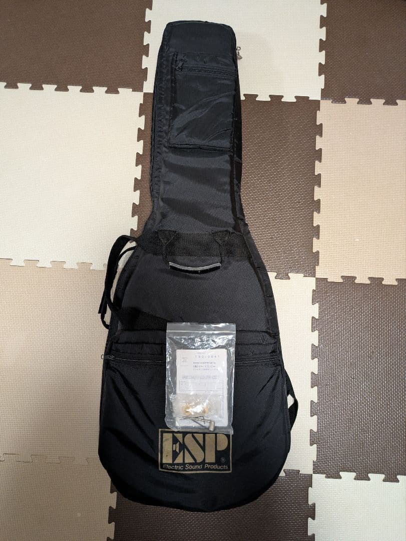 【美品】 the GazettE 麗 モデル　Edwards E-U-HL2 緑