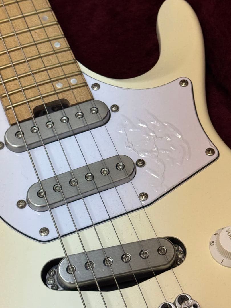 軽量個体 2.0kg ICHI10-VWM ハードケース付き