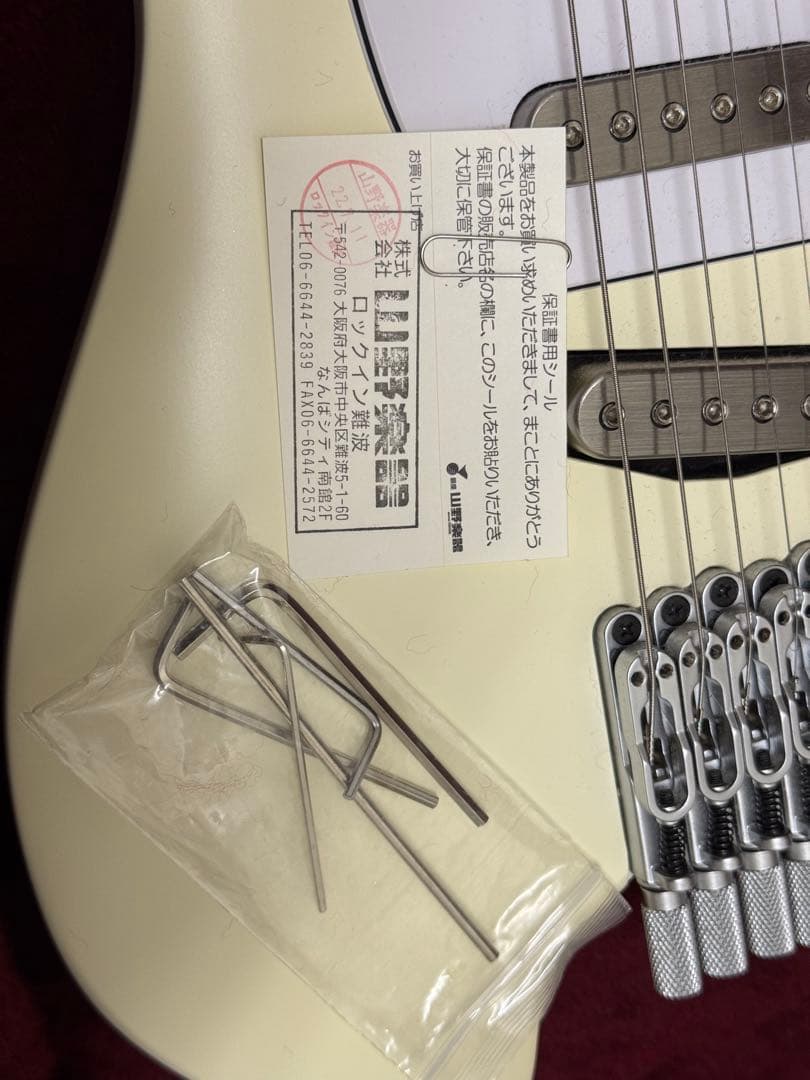 軽量個体 2.0kg ICHI10-VWM ハードケース付き