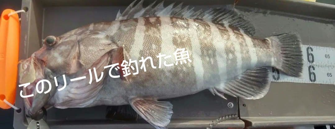 Daiwa FUNE XT 150H ベイトリール