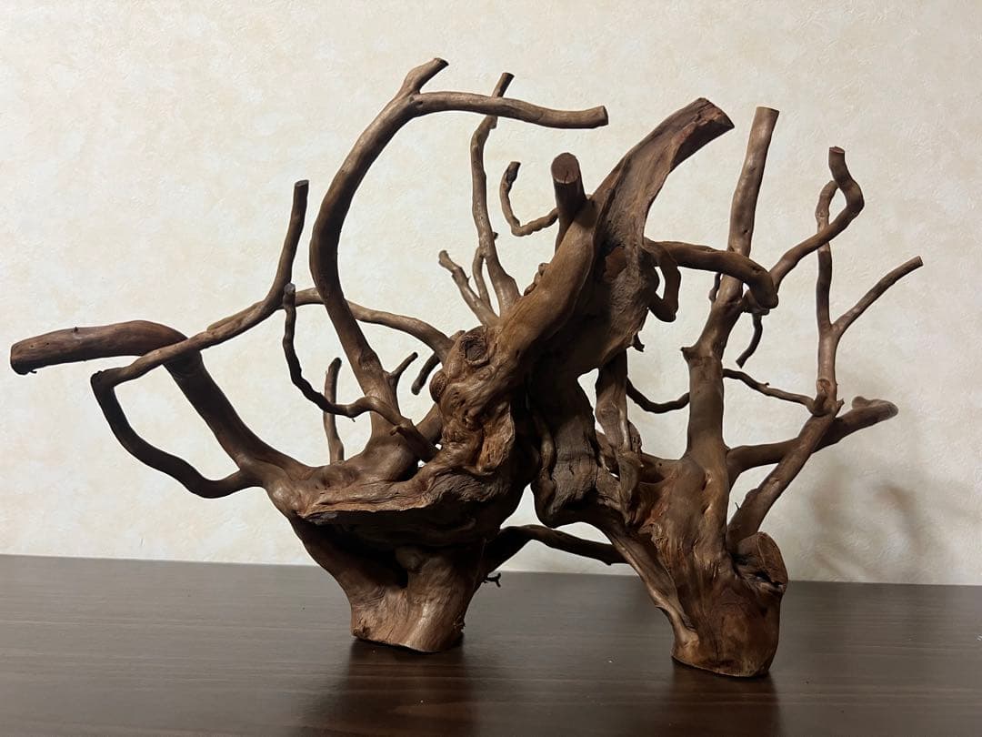 32205 ブランチウッド　流木　アクアリウム 沈水確認済