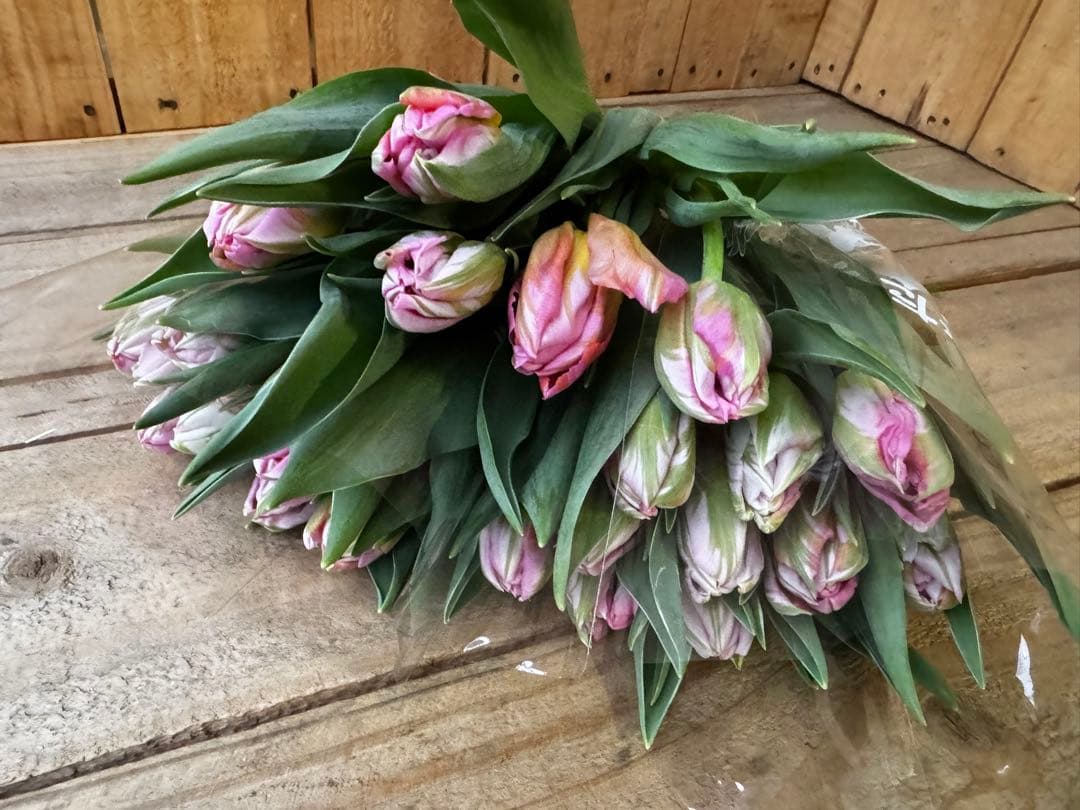 Ra Ra様 リクエスト 4点 まとめ商品