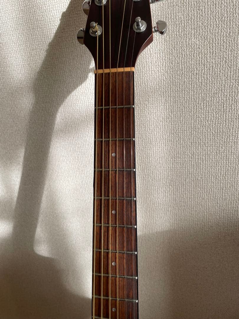 Breedlove Passport C25CE FS｜ワンオーナー｜エレアコ