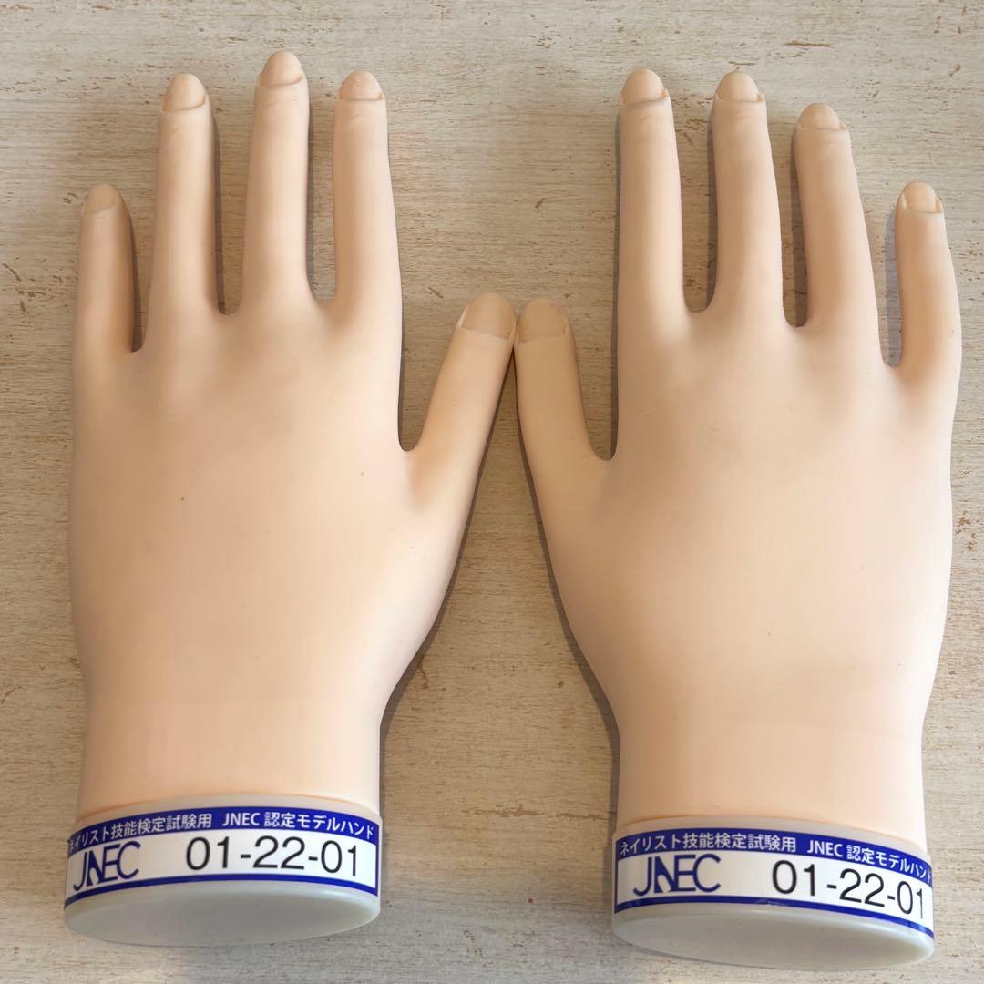ネイリスト 技能検定試験用 JNEC認定 モデルハンド ルースキューティクル付き