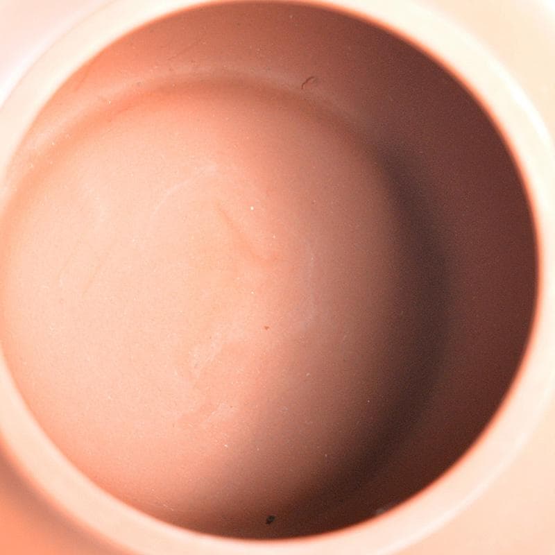 中国　紫砂　朱泥　急須　茶壷　在銘　V　R5672