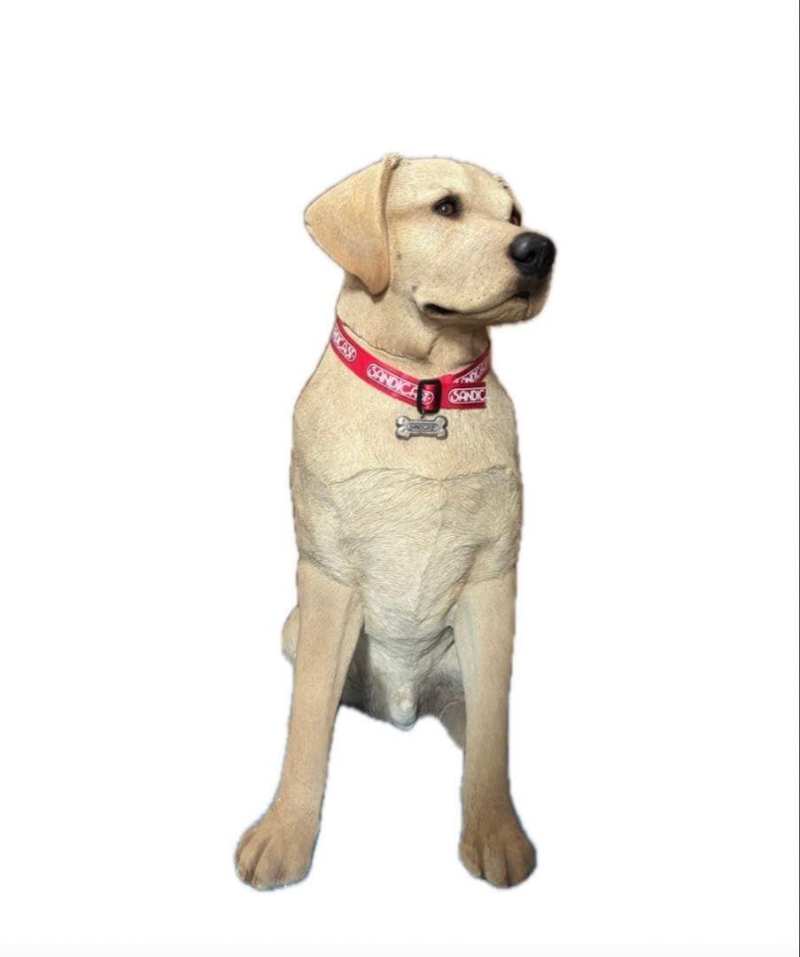 サンディキャスト　ラブラドールレトリバー　犬　置物　オブジェ　リアルドッグ