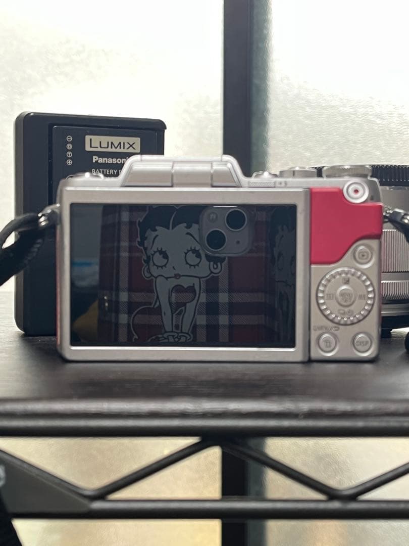 LUMIX G ミラーレスカメラ ピンク