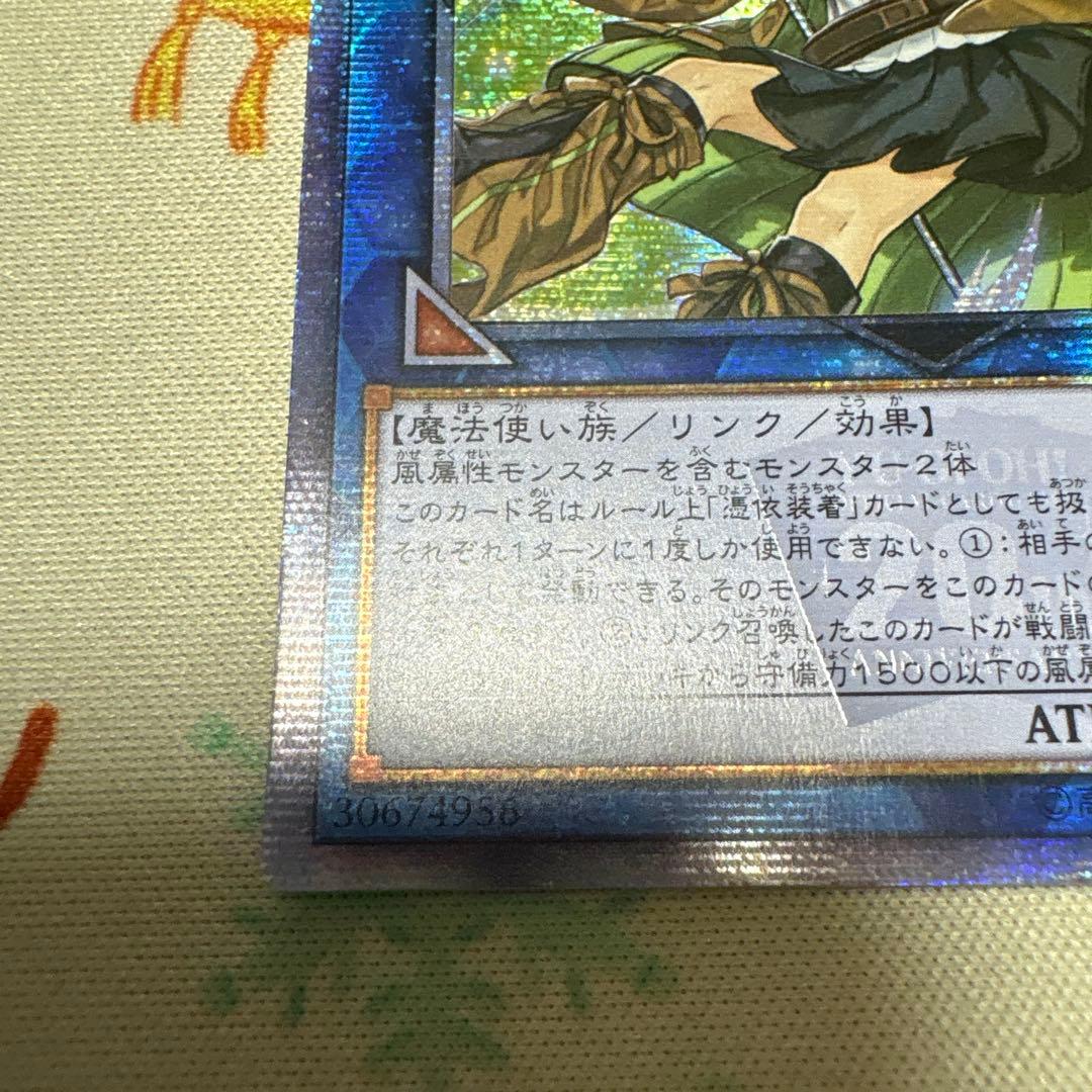 遊戯王　霊使いセット　6枚