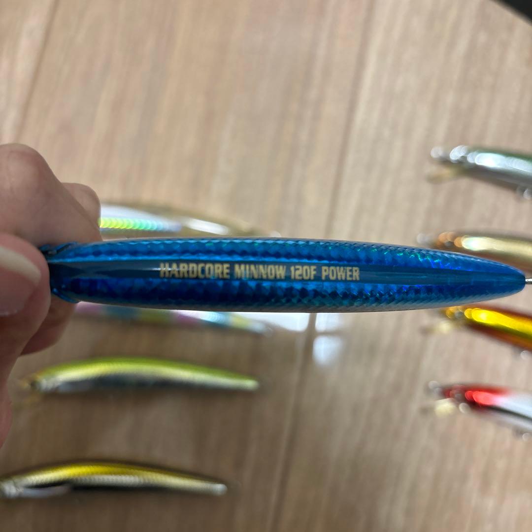 ルアー・フライ HARDCORE MINNOW 120F POWER