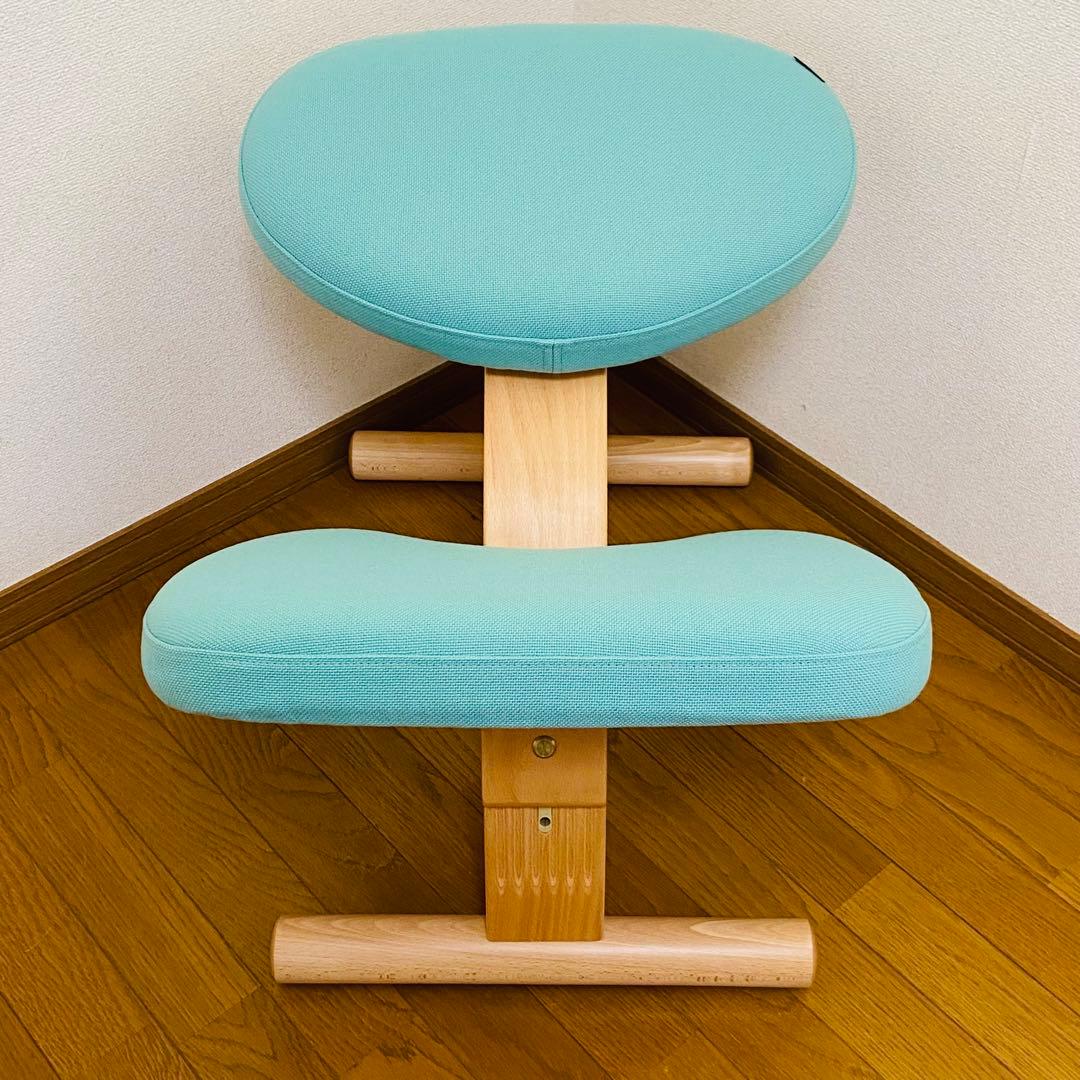 サカモトハウス バランス　チェア イージー balance easy 姿勢矯正