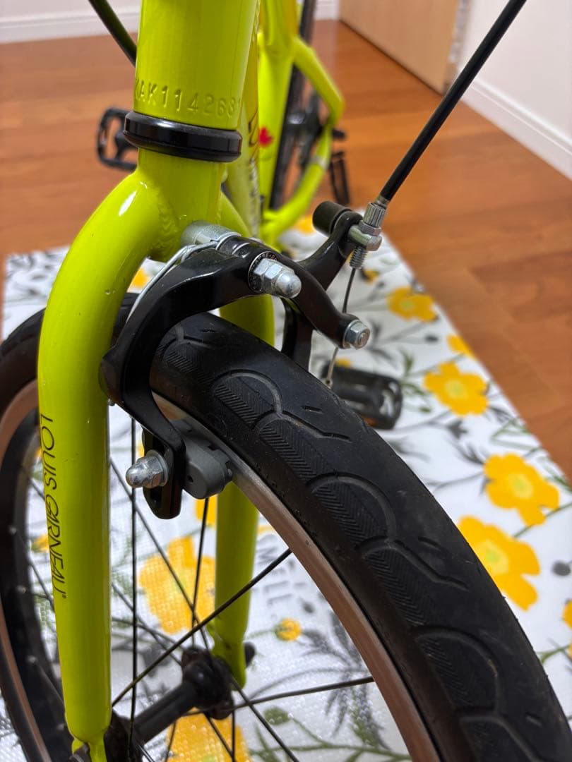 LOUIS GARNEAU 子供用自転車 18インチ ルイガノ