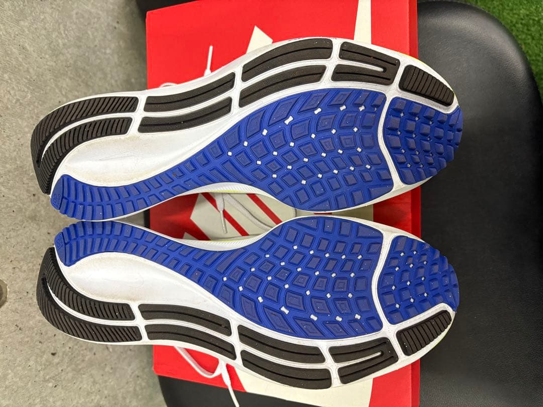 【サッシー】ナイキエアズームペガサス 37 【27cm】