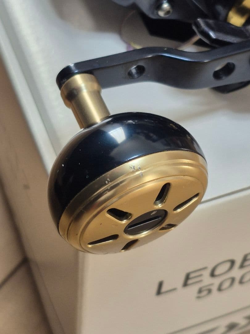 Daiwa20 LEOBRITZ 500JP 電動リール