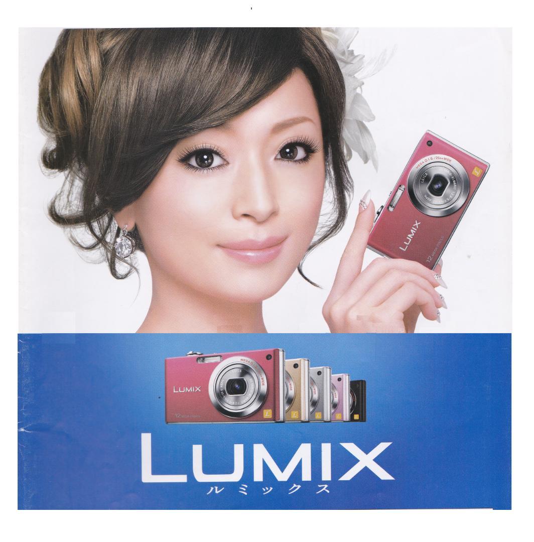 LUMIX★DMC-FX40⭕️安心の実働品★5倍ズーム1210万画素