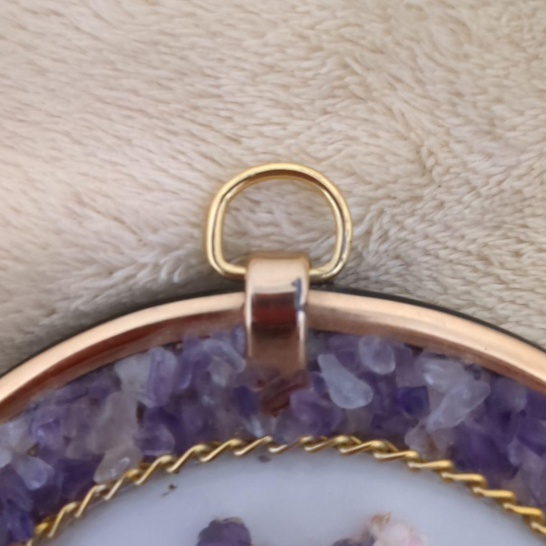 ブラジル産モルフォ蝶の標本