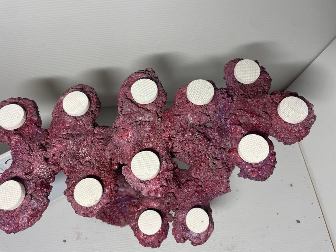 【送料無料】人工ライブロック　PHR28／12穴加工　アク抜き済み安心塗料使用