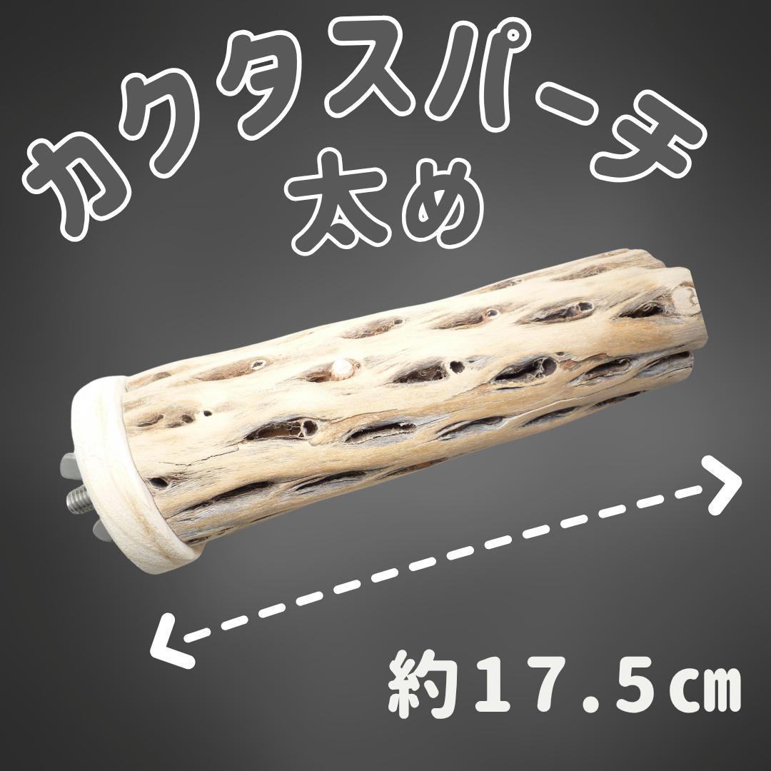 鳥用品　止まり木　カクタス　スケルトン　パーチ　太めNo.239