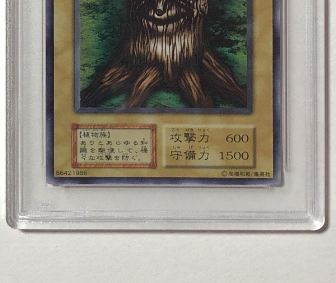 遊戯王 悟りの老樹 PSA10 初期 STARTER BOX【1999年物】