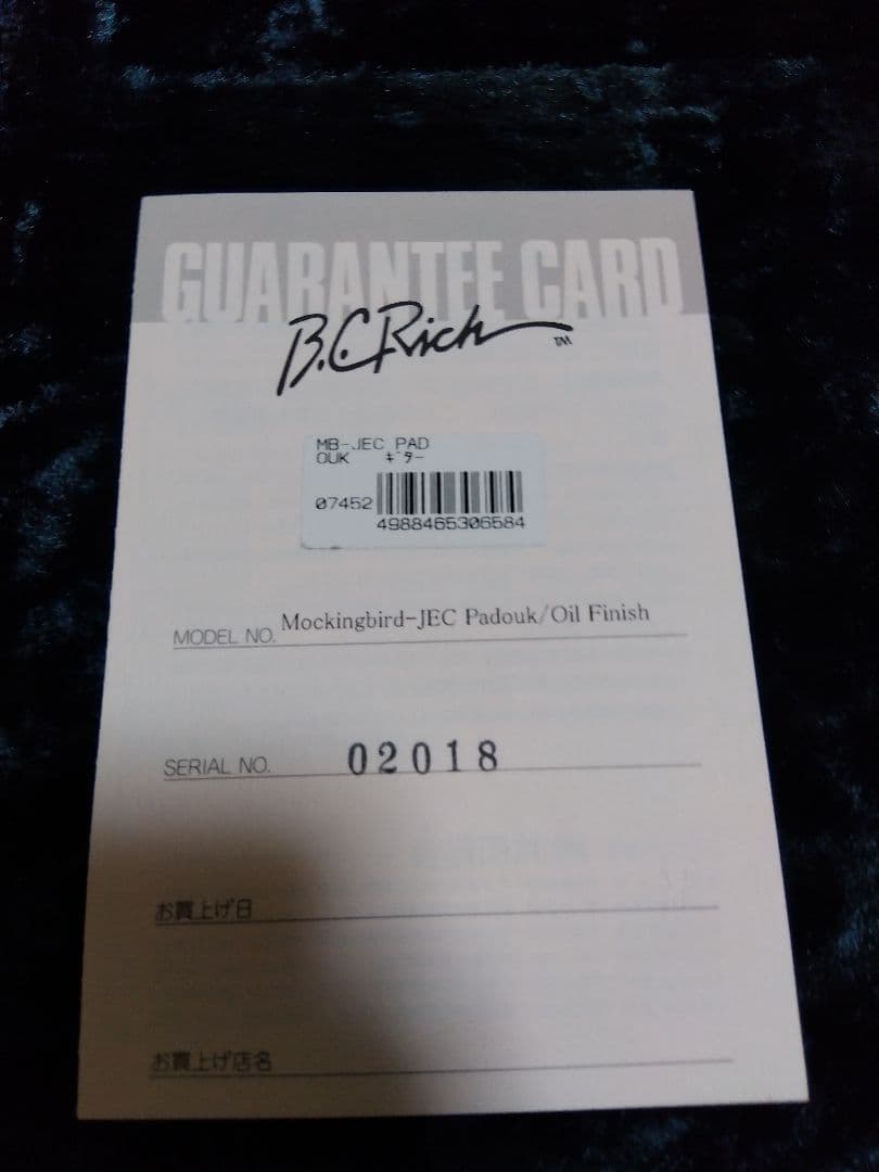 ビーシリッチ　モッキンバード