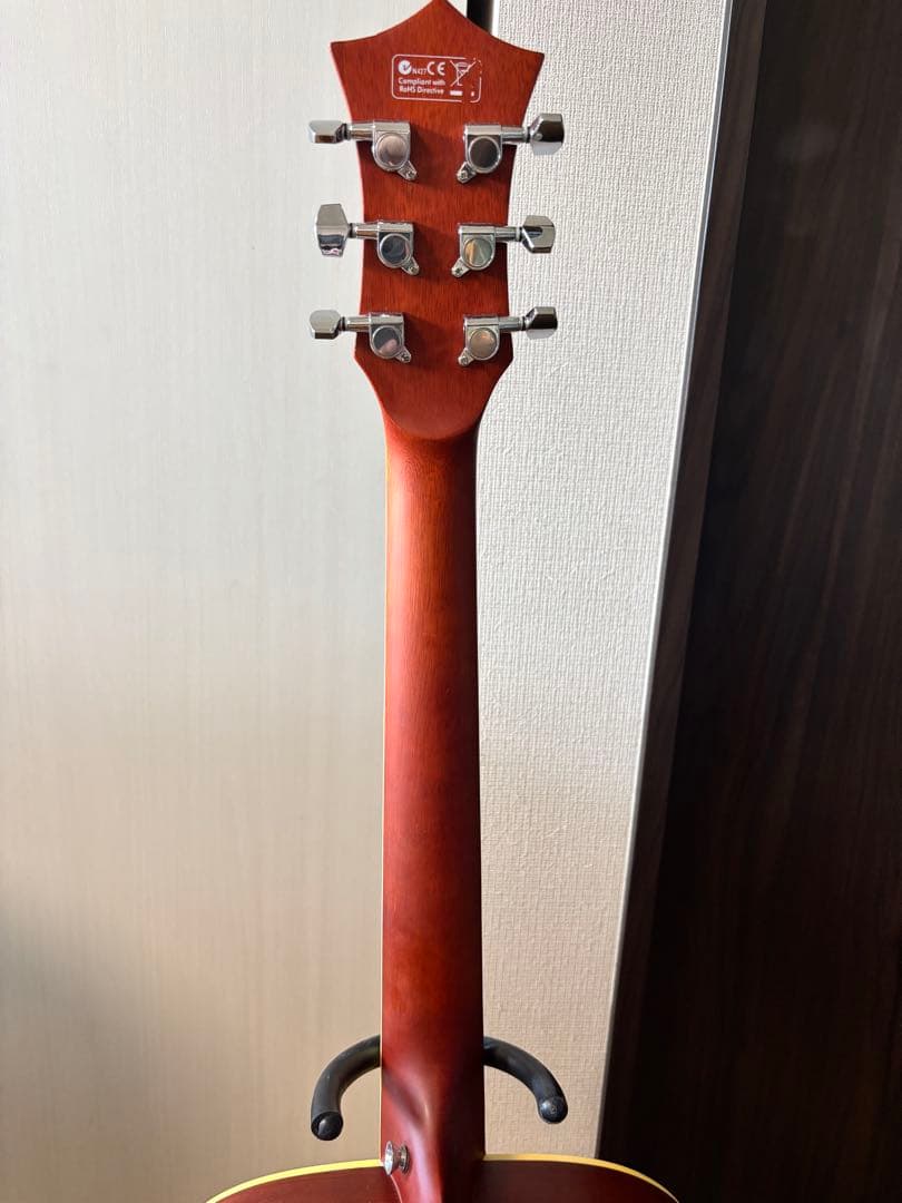 Elioth Revolution アコースティックギター セット