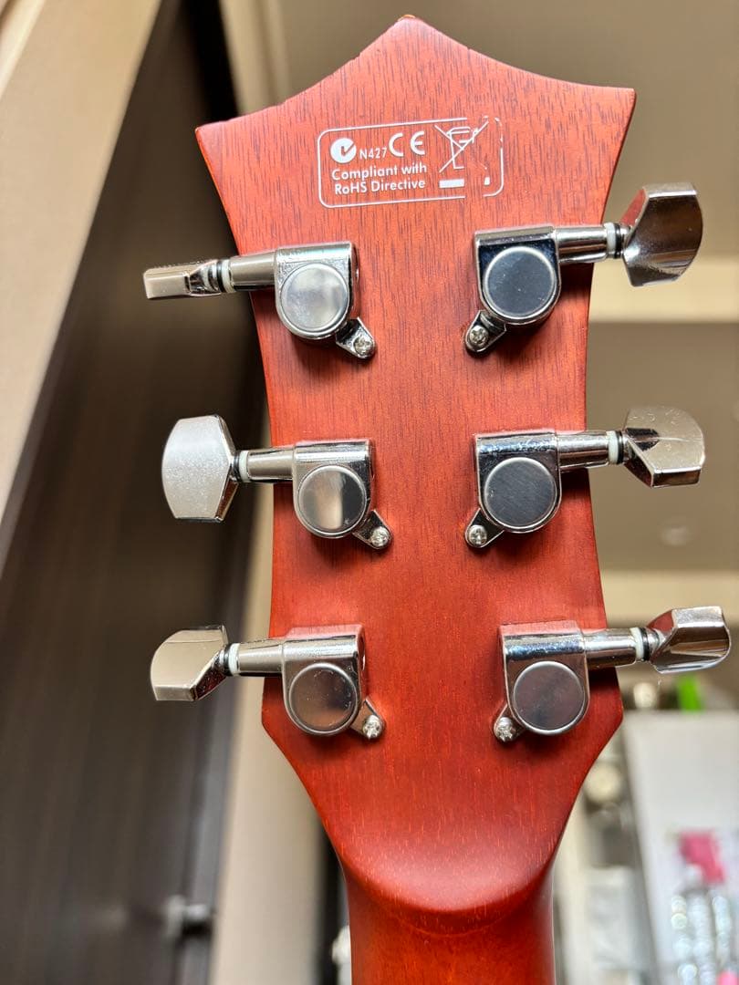 Elioth Revolution アコースティックギター セット