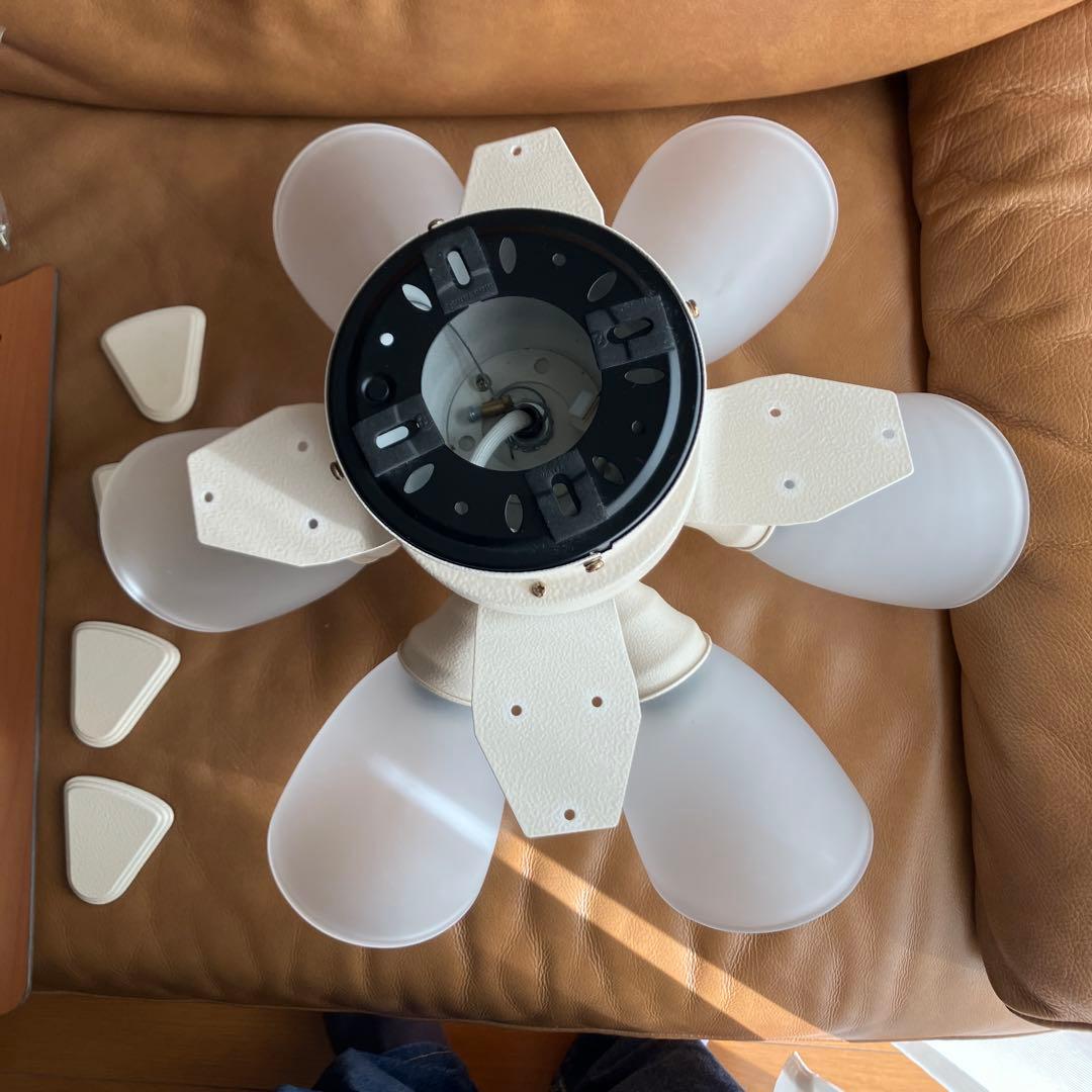 【美品】plusmore シーリングファン 6灯 Windouble