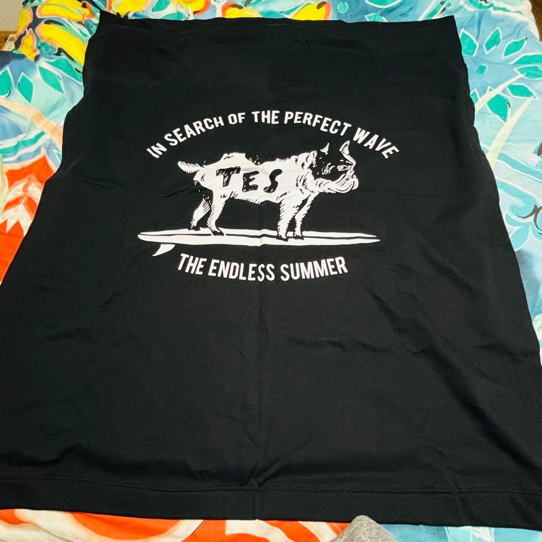 【レア！】TES エンドレスサマー BUHI大判ブランケット