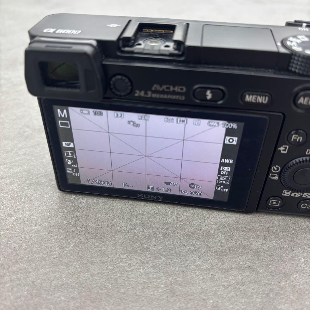 ミ*ギ様 SONY α6000 ミラーレス一眼カメラ レンズセット+ SEL35