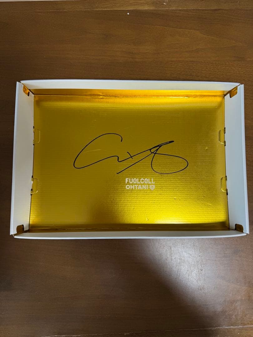 Ohtani v1 26cm 新品未使用 大谷翔平 ニューバランス ゴールド