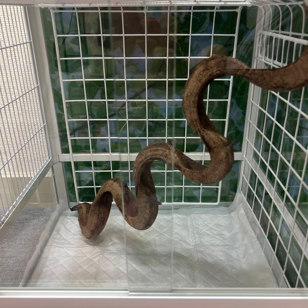 ♡sniper様♡専用♡