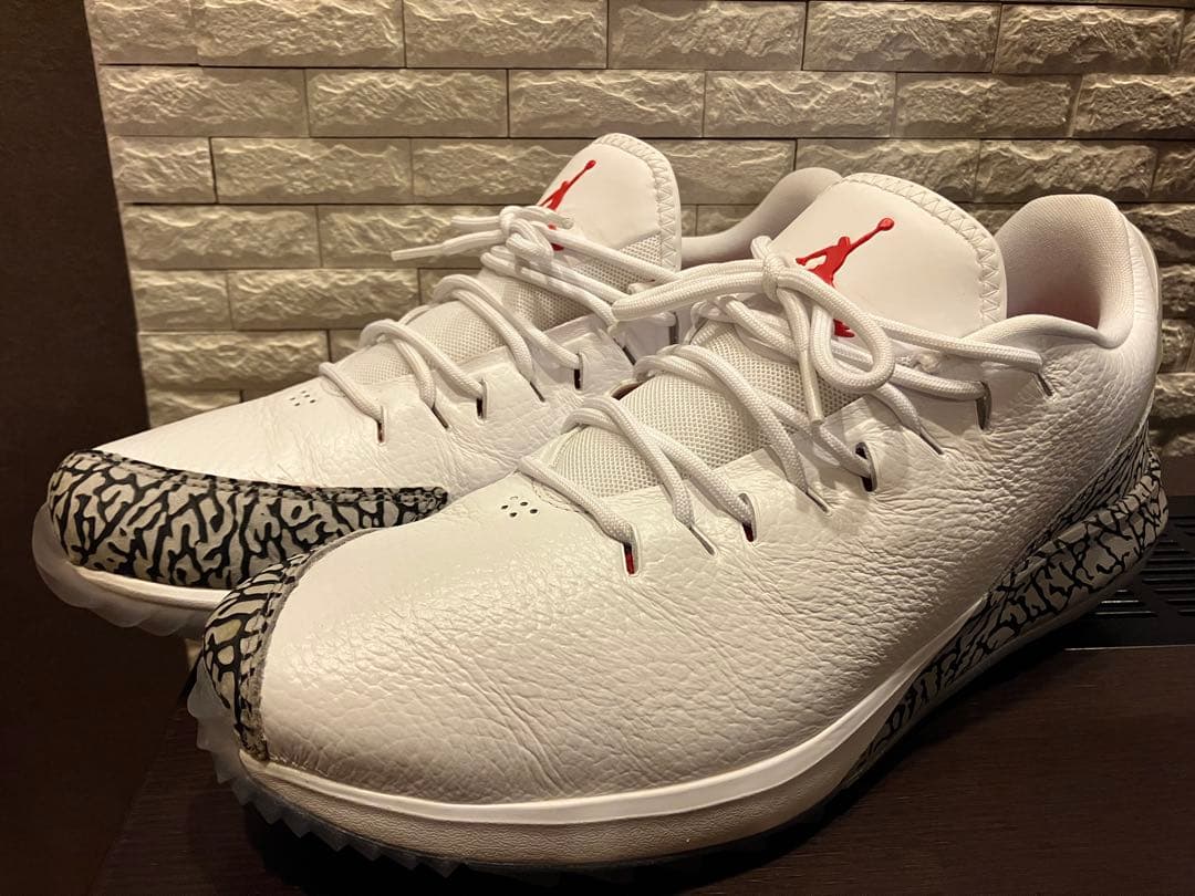 シューズ(男性用) NIKE JORDAN ADG AR7995 100