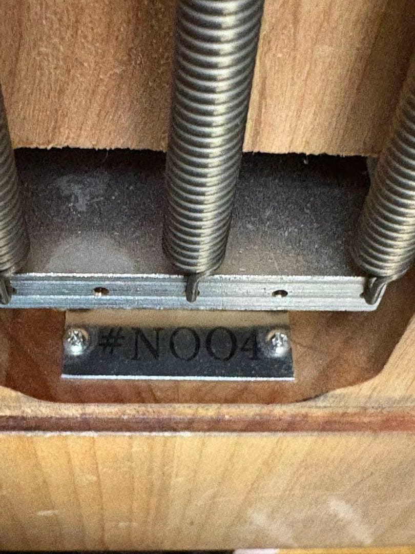 極美品 Washburn N4 Authentic ClipLock付き本人仕様