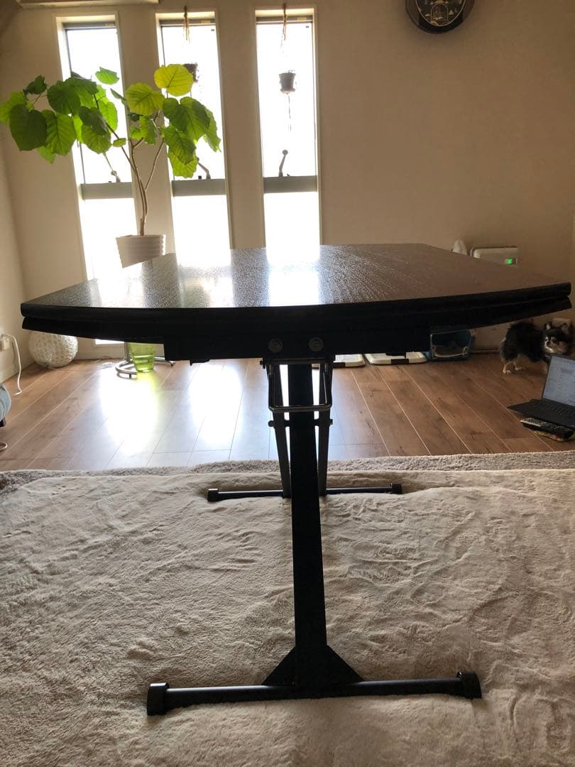 大川家具　東馬　昇降式バタフライテーブル 120cm