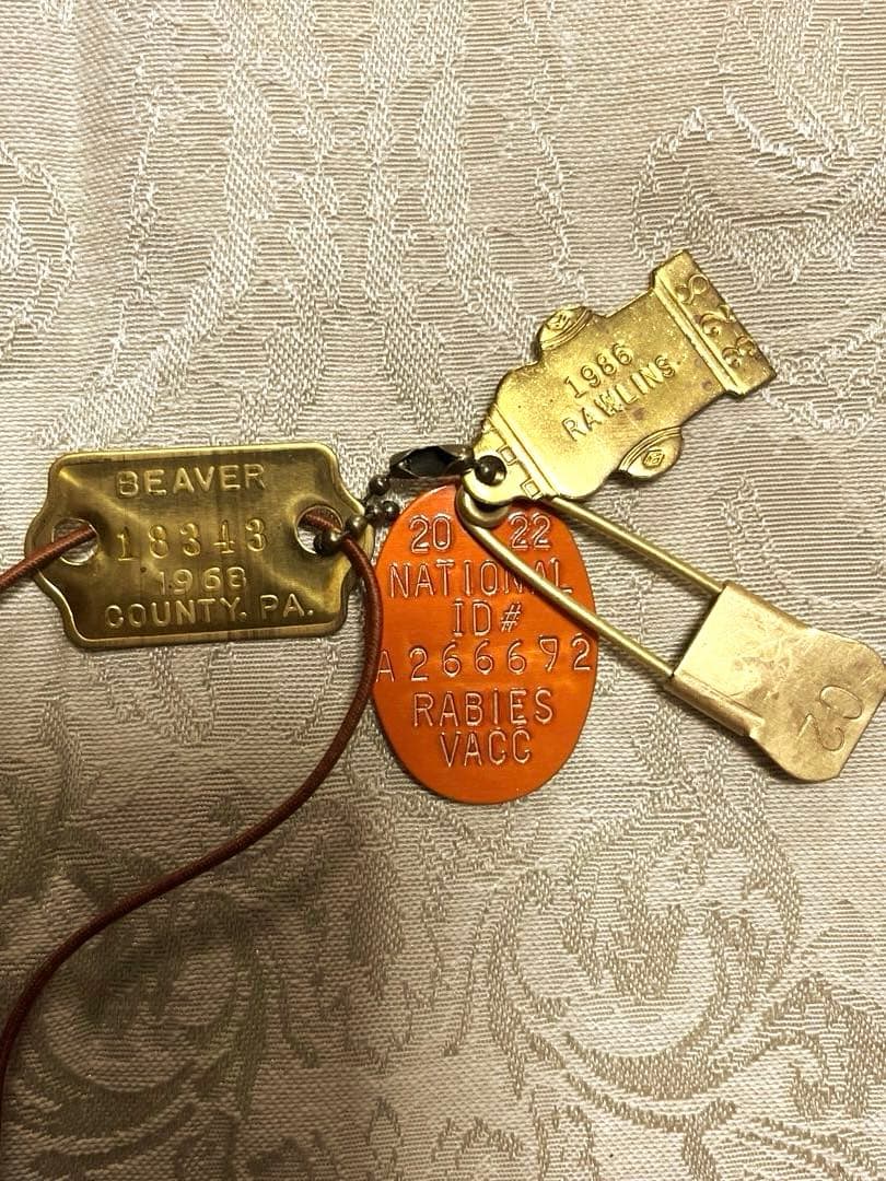 トラベラーズノートレギュラーサイズ キャメルカスタマイズセット