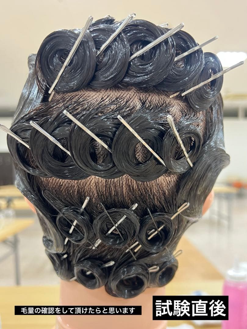 ほぼ新品✨国家試験合格者使用ウィッグ オールウェーブ1式 ローションサービス付き