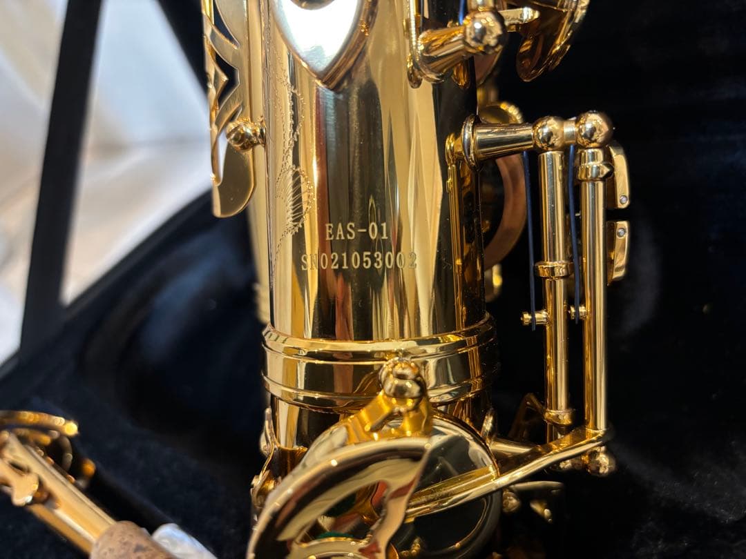 EYS アルトサックス EAS-01 ケース、クリーニング用品付