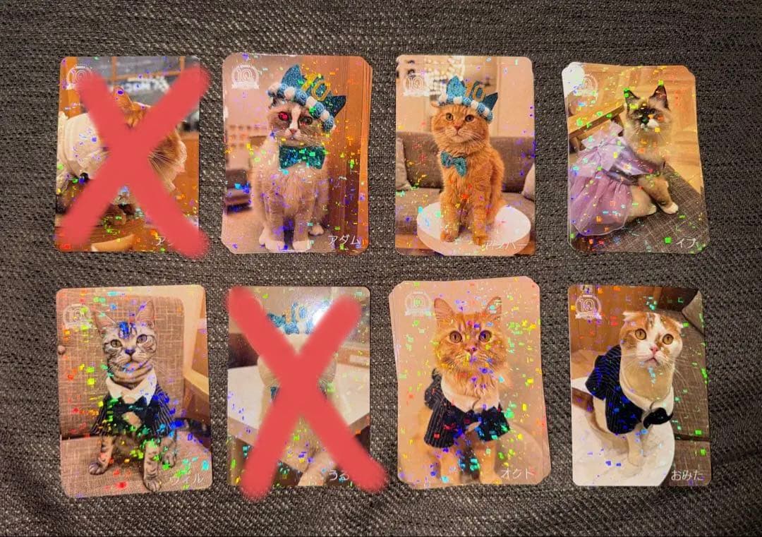 【バラ売り可】にゃんずトレカ甲府昭和店 2024